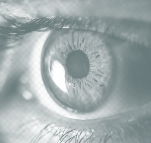 stock-photo-close-up-of-isolated-human-brown-eye-on-greyscale-338340410